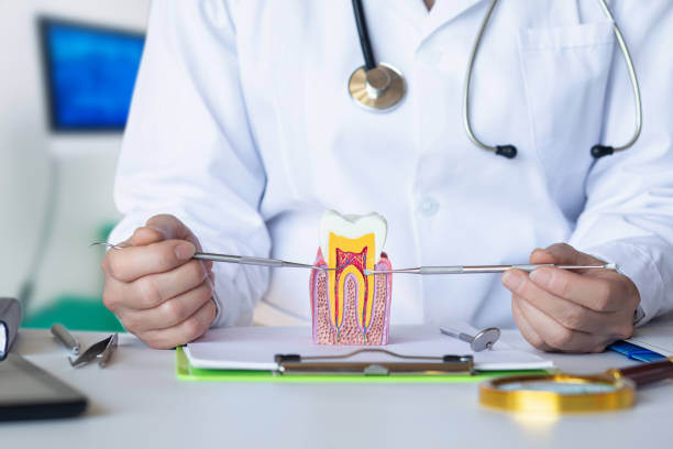 Best Emergency Dental Care for Broken or Chipped Teeth in Monticello, AR